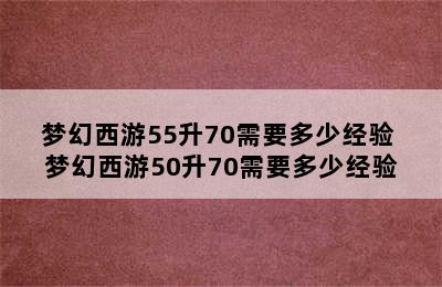 梦幻西游55升70需要多少经验 梦幻西游50升70需要多少经验